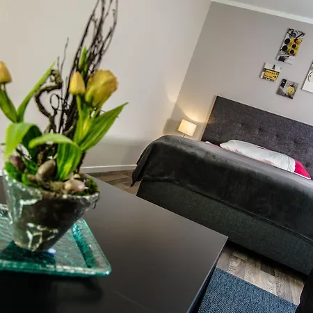 Reloc Serviced Zurich-oerlikon Apartment
